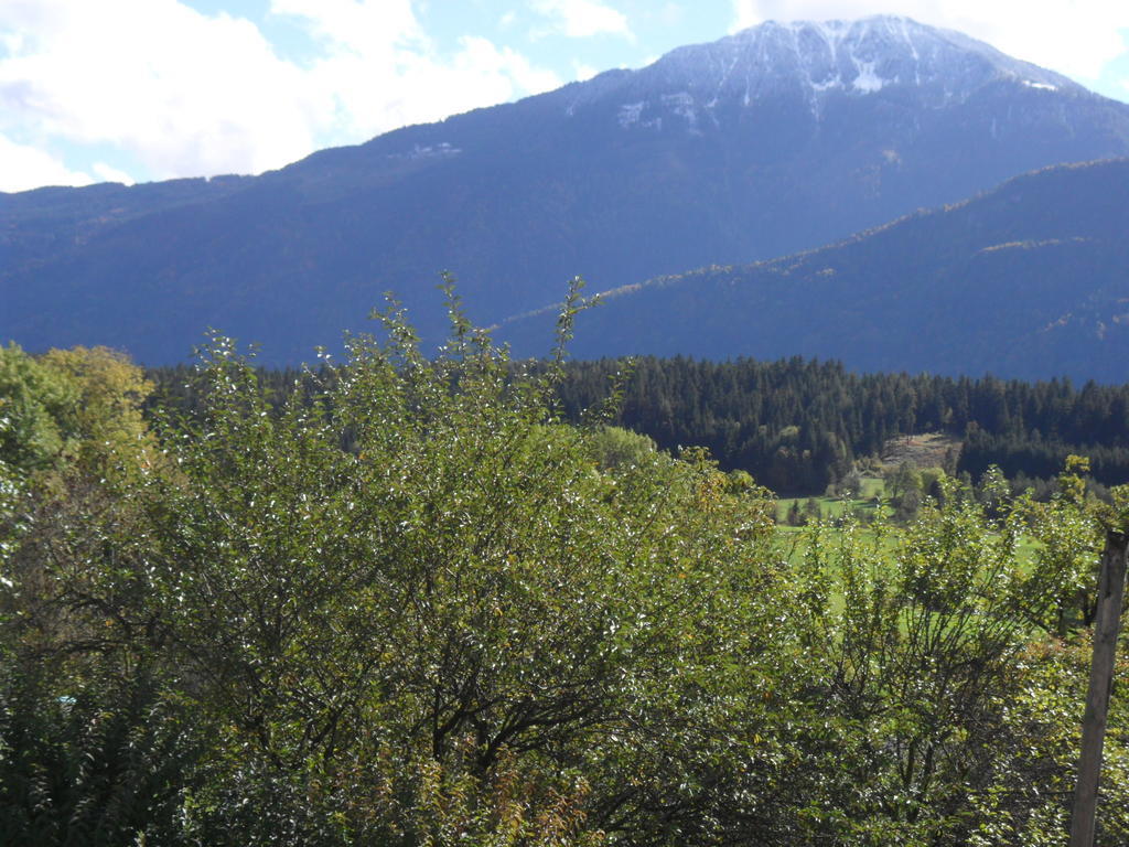 Ferienhaus Warmuth Sankt Stefan an der Gail Bagian luar foto