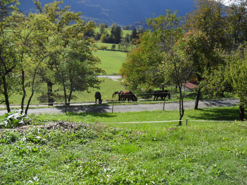 Ferienhaus Warmuth Sankt Stefan an der Gail Bagian luar foto